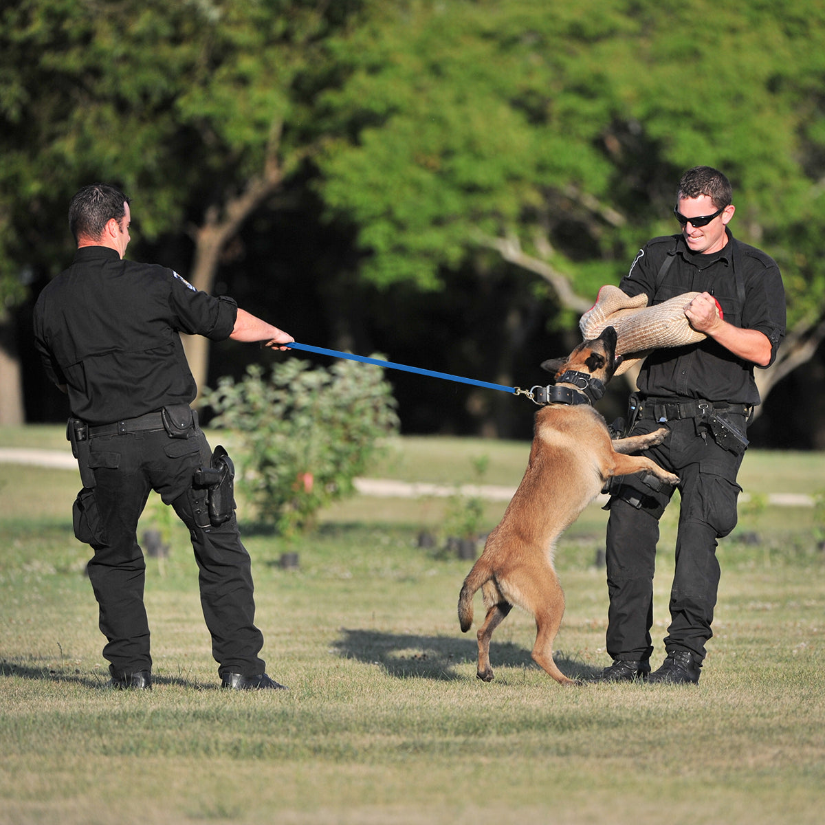 Viper Biothane Long Line 15 ft Dog Lead