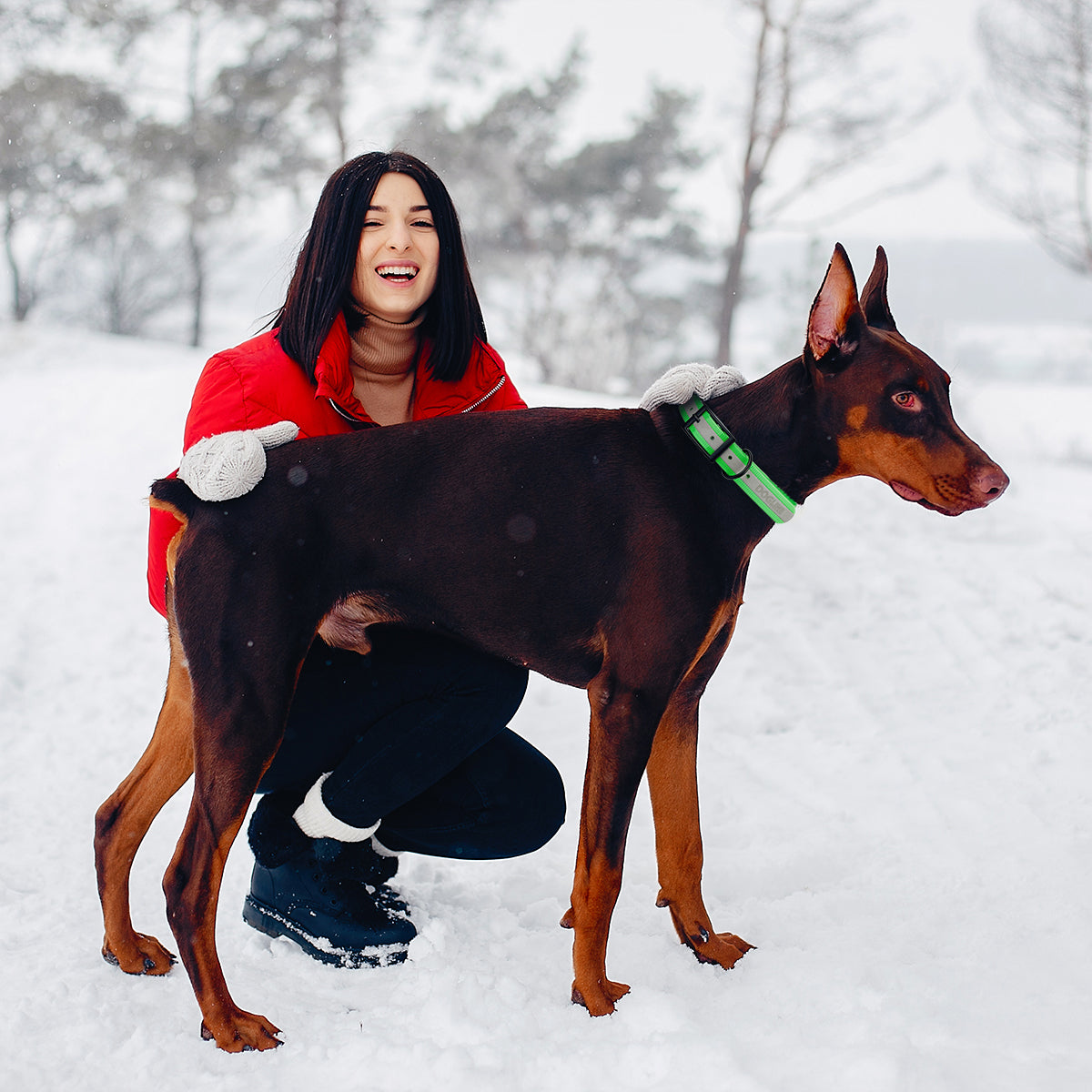 Biothane Translucent Reflective Dog Collar