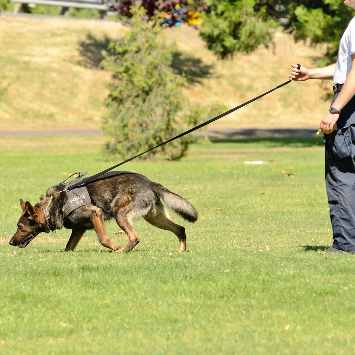 Viper Biothane Long Line 15 ft Dog Lead