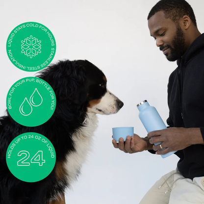 Man holding a light blue water bottle and bowl for a Bernese Mountain Dog