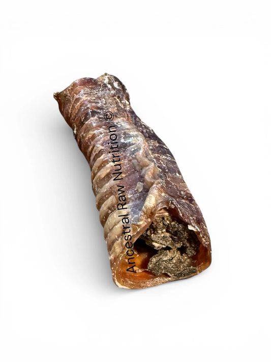 Dehydrated (Stuffed Tripe) Beef Trachea- 5-6"- 12 Count