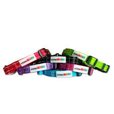 Assortment of colorful dog collars in red, purple, black, blue, pink, and green