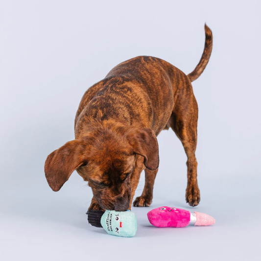 WAKE UP MAKE UP 2 PIECE DOG TOY SET Case of 4