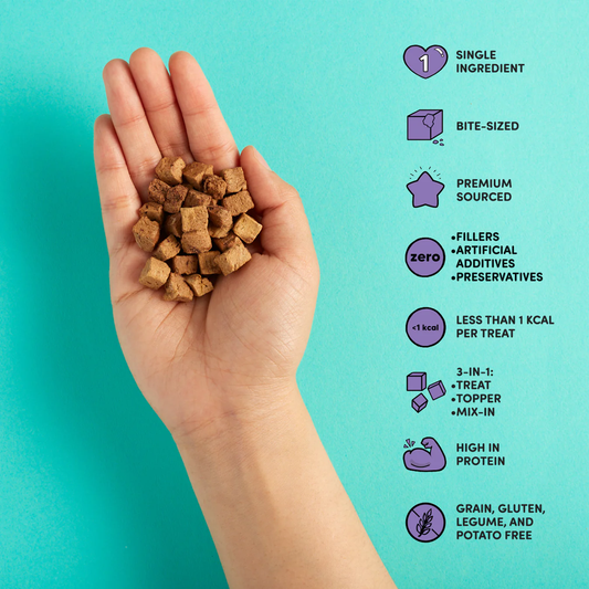 Hand holding Snaggletooth Bite Sized Liver Treats, with product features listed next to it