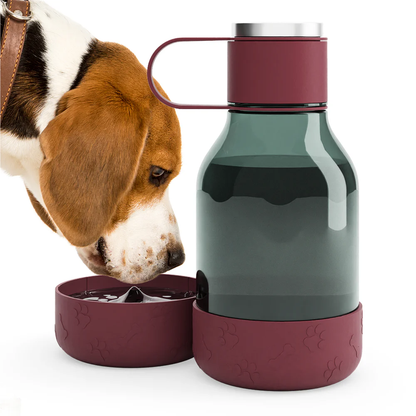 Dog Bowl Bottle Tritan- 50oz