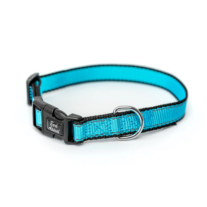 Reflective Trimmed Nylon/Poly Collar