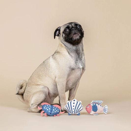 HIGH TIDES GOOD VIBES CANVAS MINI DOG TOY 3 PACK Case of 4