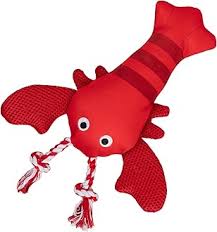 FEELING CLAWSOME FLOATING DG TOY Case of 4