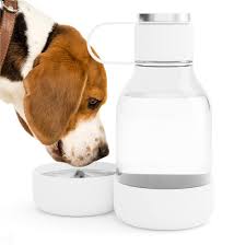 Dog Bowl Bottle Tritan- 50oz
