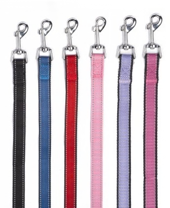 Starter Packages-Reflective Trimmed Nylon/Poly Leash