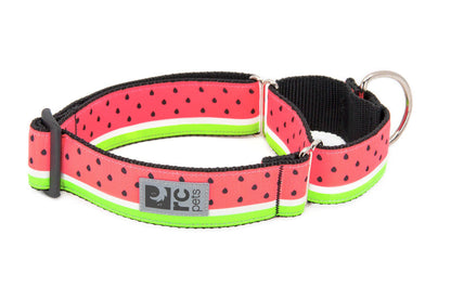 All Webbing Training Collar