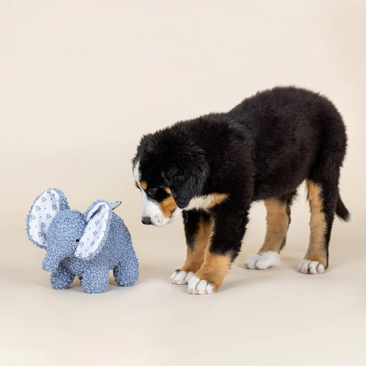 ELLIE MIXED MATERIAL PATCHWORK DOG TOY Case of 4