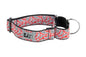 All Webbing Training Collar