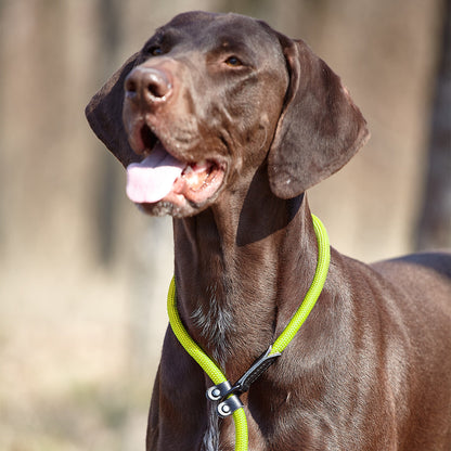 Round Nylon Slip Lead