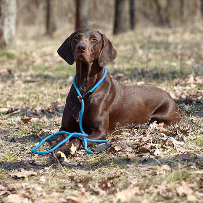 Round Nylon Slip Lead