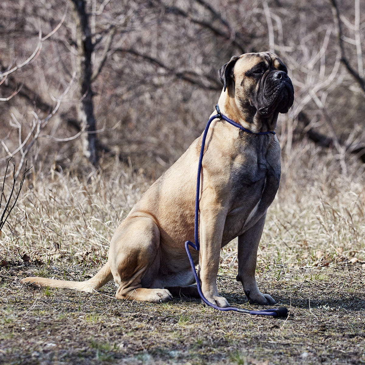 Round Nylon Slip Lead