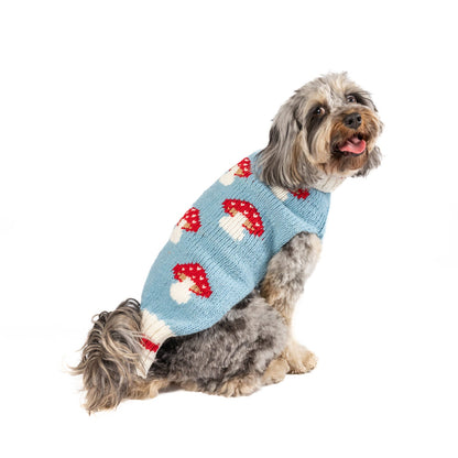 Dog wearing a blue knitted sweater with red and white mushroom pattern