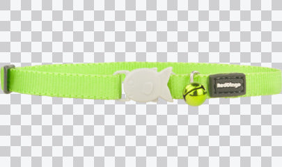 Kitten Collars - Classic