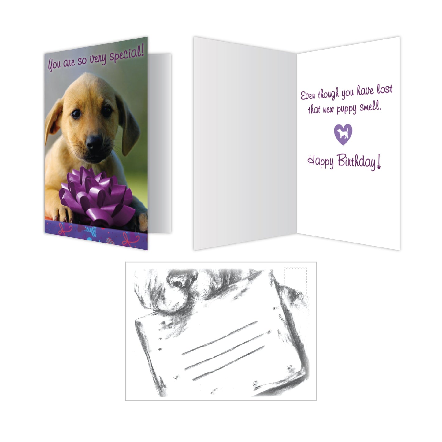 Birthday Cards (Pack of 6)