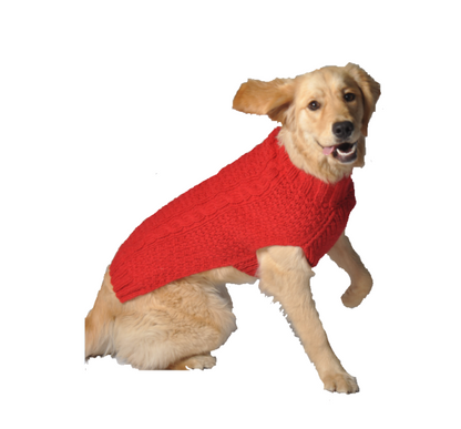 Golden retriever dog wearing a red cable knit sweater