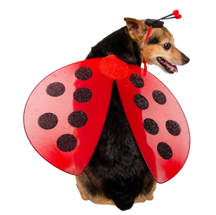 Ladybug (Onesize)