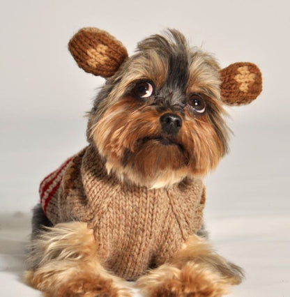 Small dog wearing a Chilly Dog Characters Monkey Hoodie with knit ears