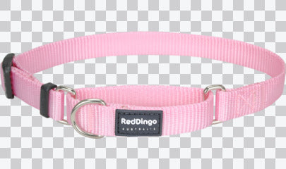 Martingale Dog Collars - Classic (Solid)