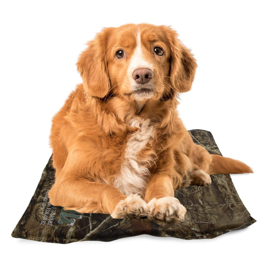 Chillz Cooling Pad - Real Tree Edition