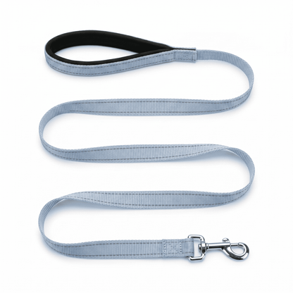 BAYCAT Harness + Leash in BAYCAT Blue