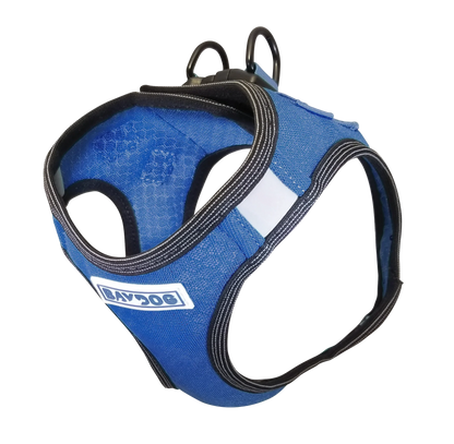 Liberty Bay Harness
