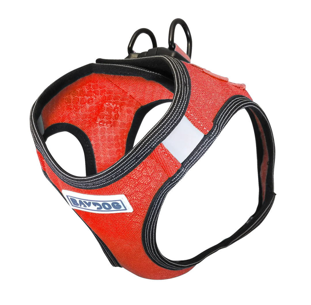Liberty Bay Harness