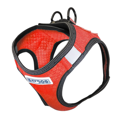 Liberty Bay Harness