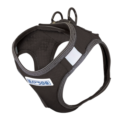 Liberty Bay Harness