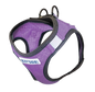 Liberty Bay Harness