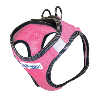 Liberty Bay Harness