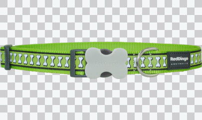 Buckle Bone Dog Collars - Reflective