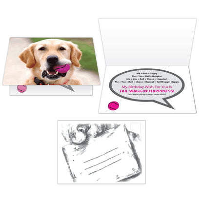 Birthday Cards (Pack of 6)