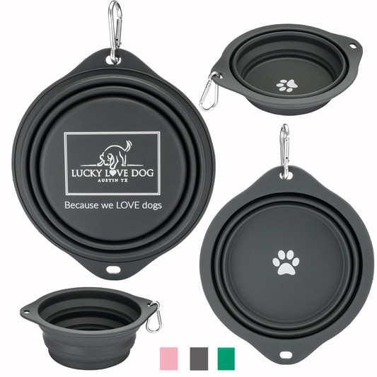 Steel Collapsible Travel Bowl