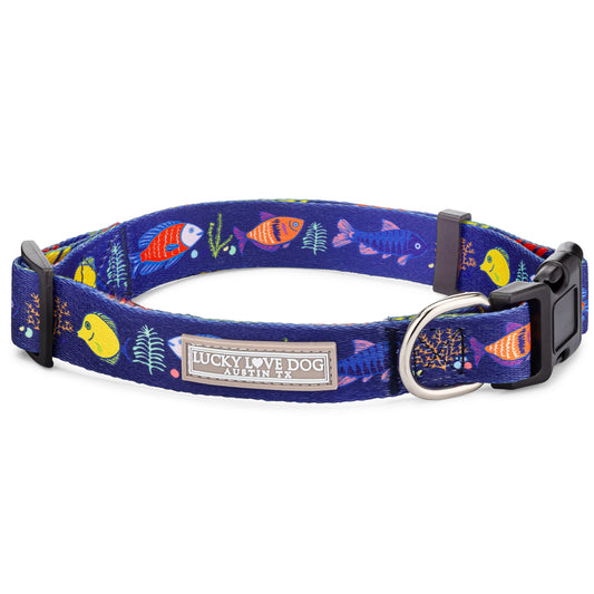 Mackey Regular Collar