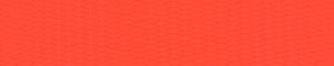 Basics Blaze Orange Training Leash