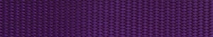 Basics Purple Leash