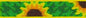 Originals Sunflowers Cat Safety Collar