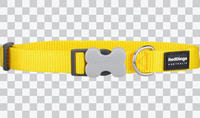 Buckle Bone Dog Collars - Classic (Solid)