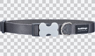 Buckle Bone Dog Collars - Classic (Solid)