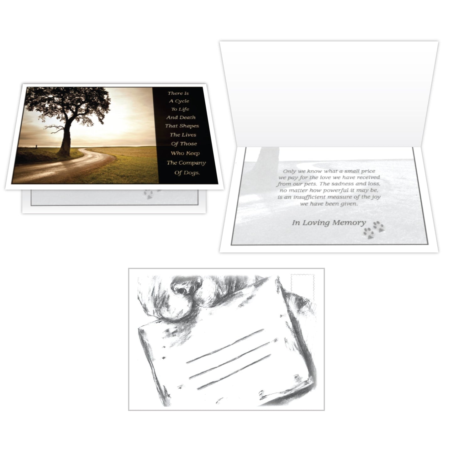 Sympathy Cards (Pack of 6)