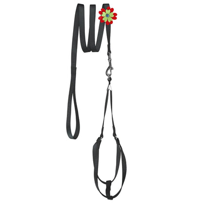 Step-In Nylon Dog Harness + Optional Flower Leash