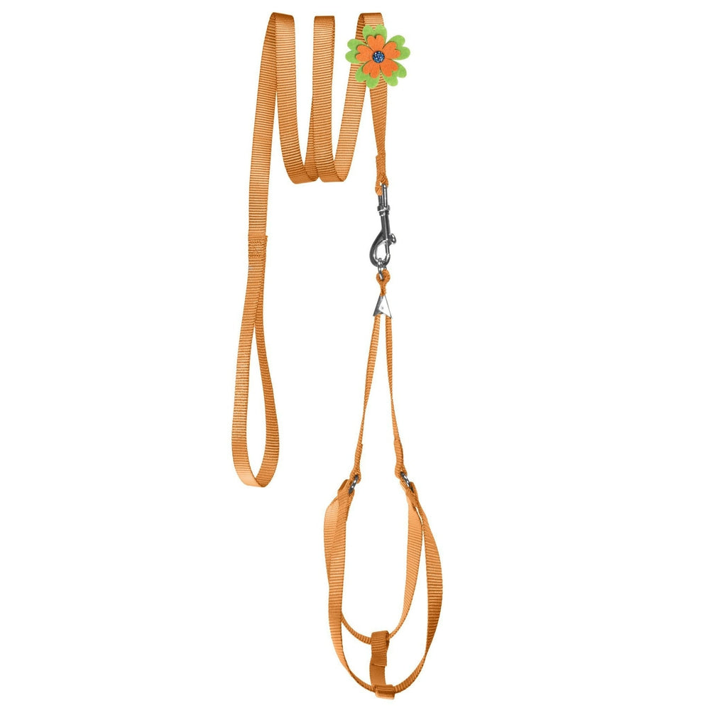 Step-In Nylon Dog Harness + Optional Flower Leash