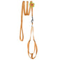 Step-In Nylon Dog Harness + Optional Flower Leash