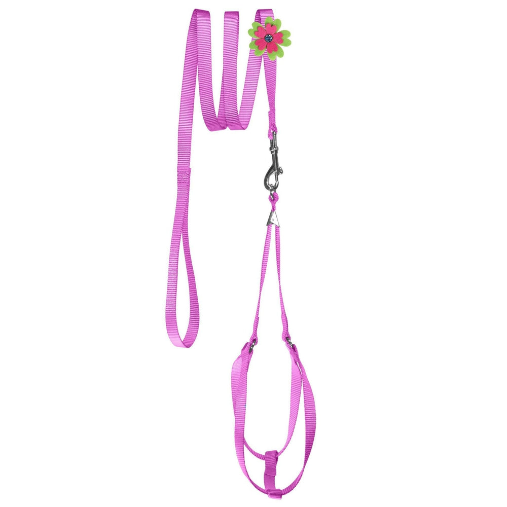 Step-In Nylon Dog Harness + Optional Flower Leash