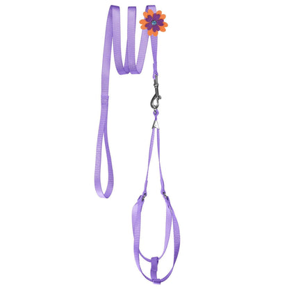 Step-In Nylon Dog Harness + Optional Flower Leash